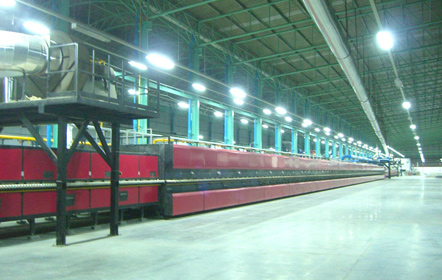 năm 2006